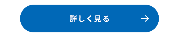 詳しく見る